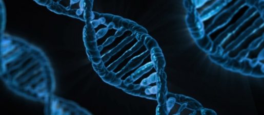 DNA genetika výskum